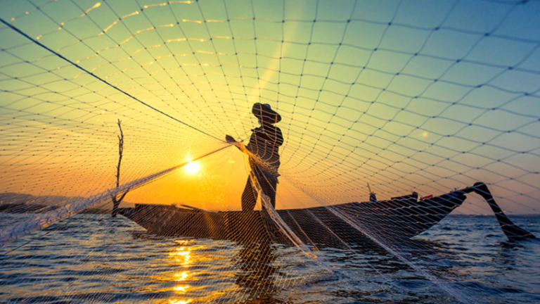 ¡Viva la pesca! Nueva Esparta rinde homenaje a sus pescadores