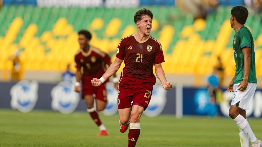 Vinotinto