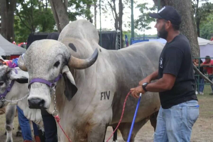 Expoferia Agrícola Productiva