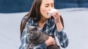alergia a los gatos