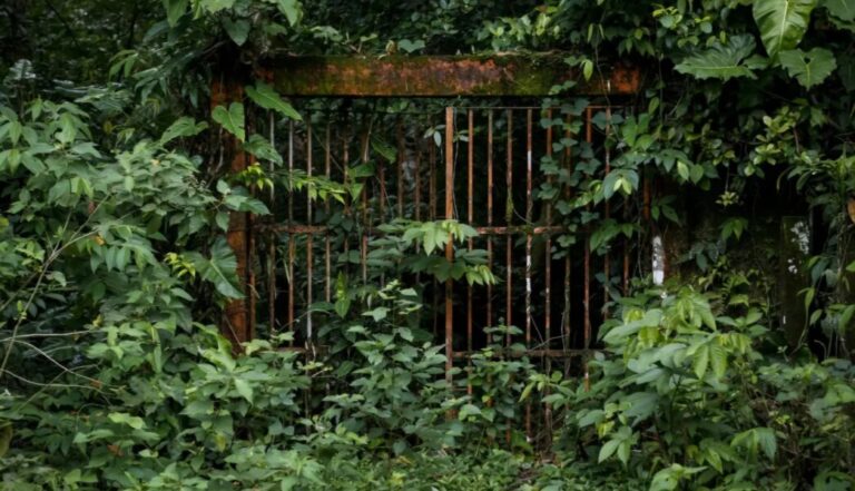 ¿Prisión extrema en la selva? Macron sigue los pasos de Bukele