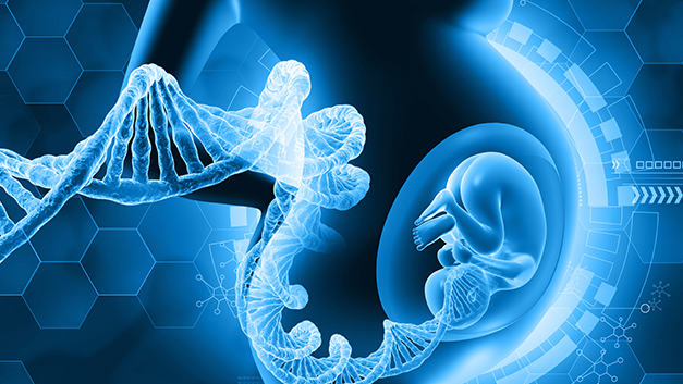 ¿ADN del cordón umbilical puede predecir futuras enfermedades?
