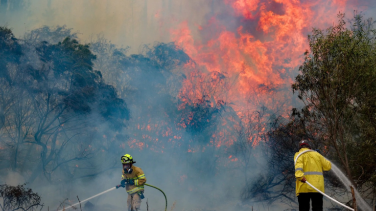 ¡Crisis en Israel! Incendios arrasan Jerusalén y alertan al mundo