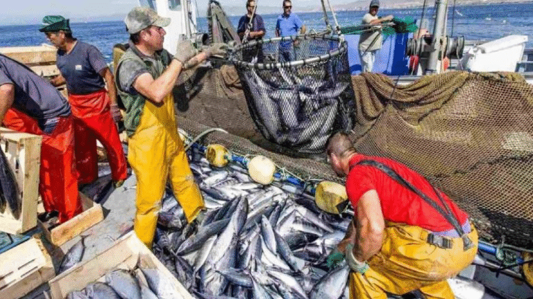¡El mar venezolano ahora conquista Europa!