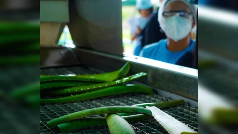 Se viene un cambio ecológico en Anzoátegui