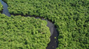río Orinoco