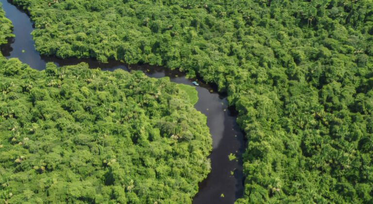 ¿Qué tan alto llegará? El Orinoco supera niveles críticos
