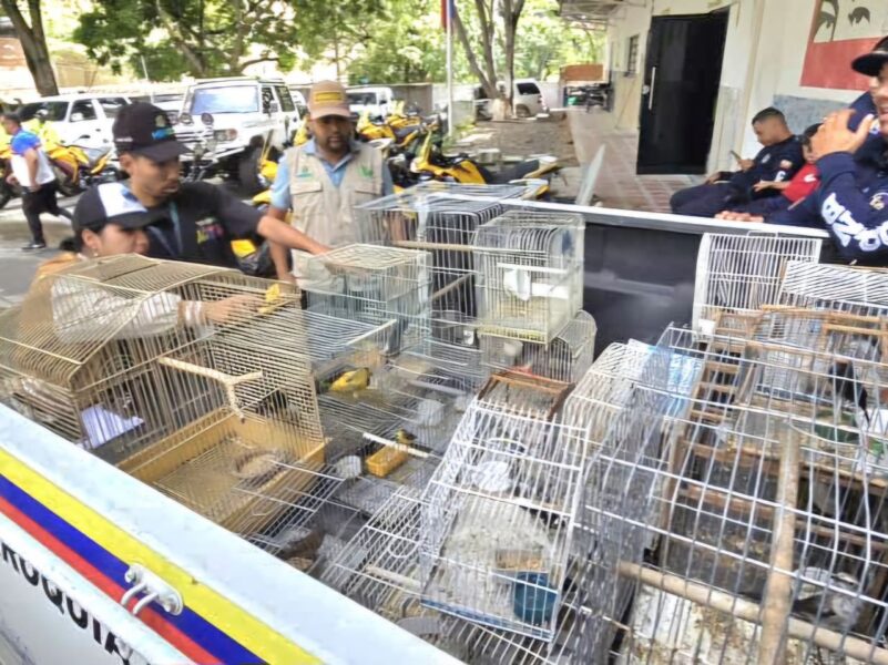 aves enjauladas