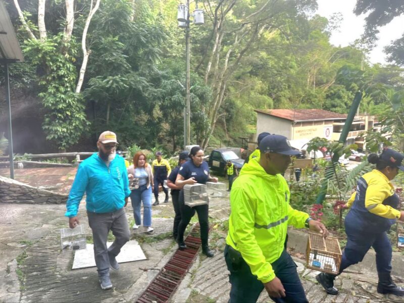aves enjauladas