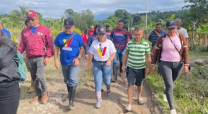 Barinas