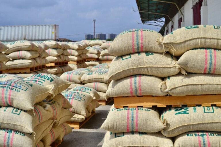 ¿Hasta dónde ha llegado el café venezolano?
