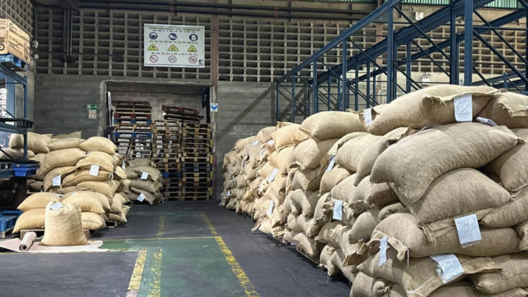 cacao venezolano Rusia