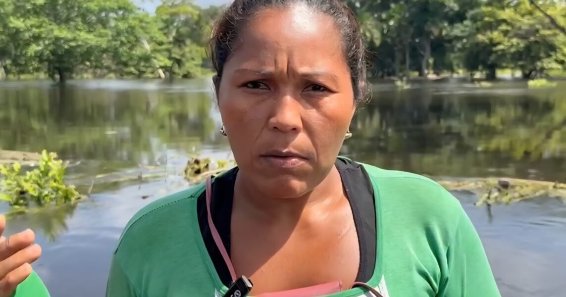 Portuguesa 