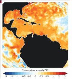 crisis climática
