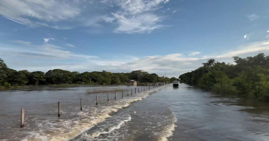 Ciudad Nutria