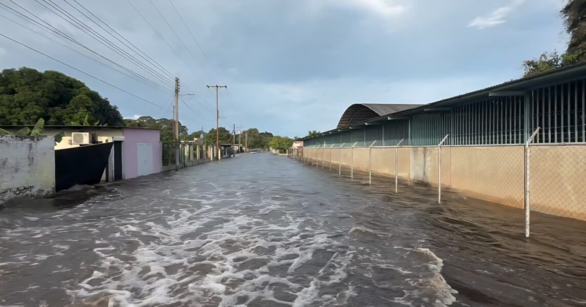 Ciudad Nutria