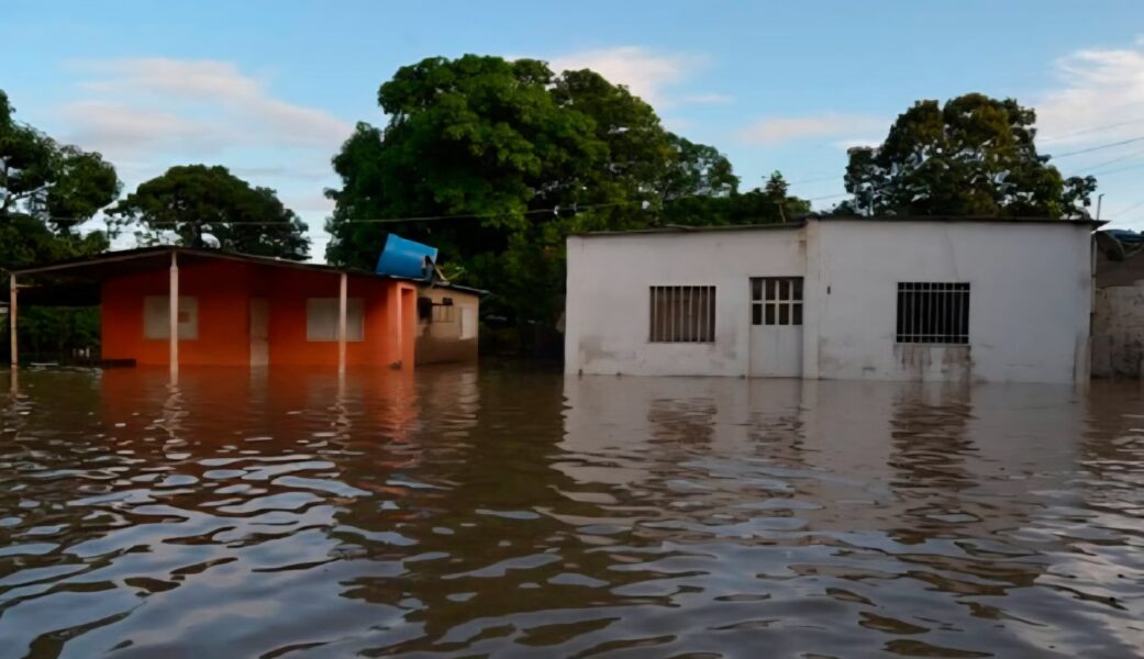 Barinas