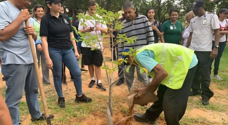 ¿Qué pasó en el cerro Mata Seca? Más de 500 plantas lo están transformando
