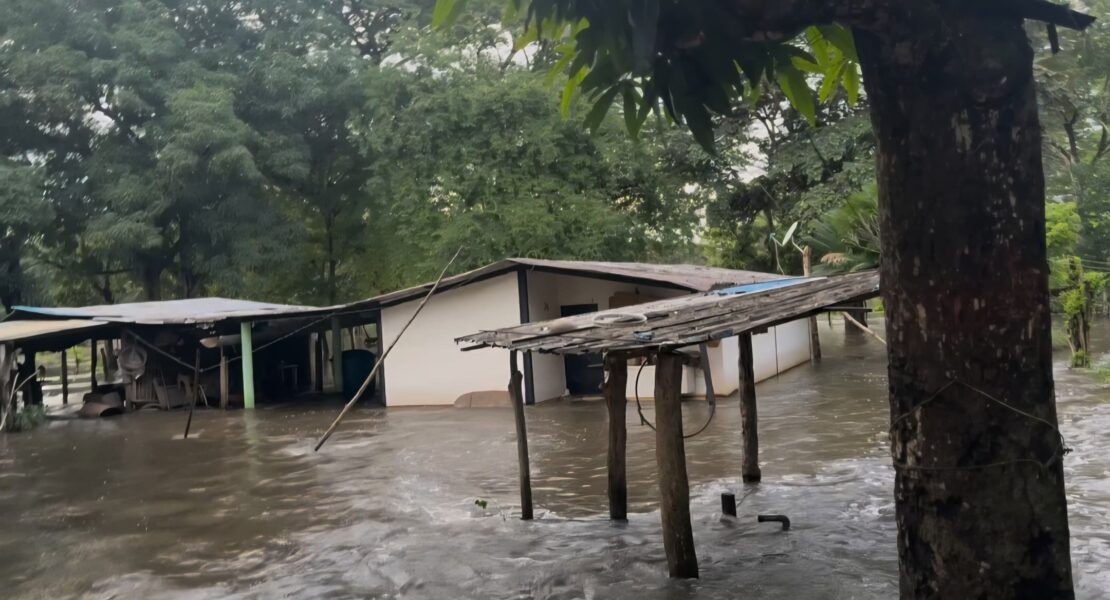 Ciudad de Nutrias