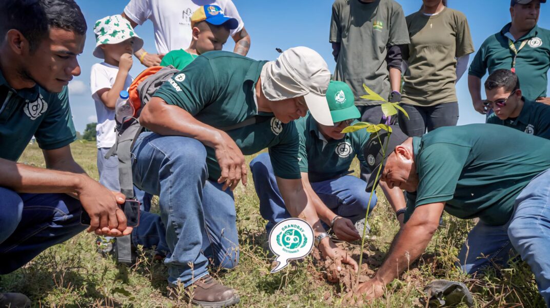 La laguna que volvió a respirar gracias a 1.200 árboles