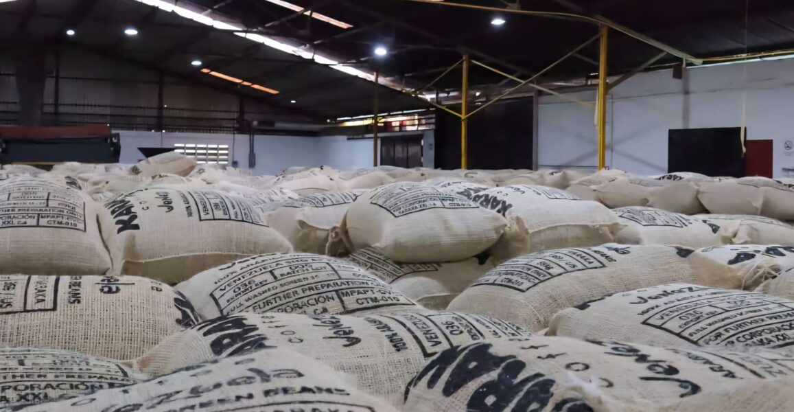 ¿El café venezolano conquista EE.UU.? Nuevo lote listo para despegar