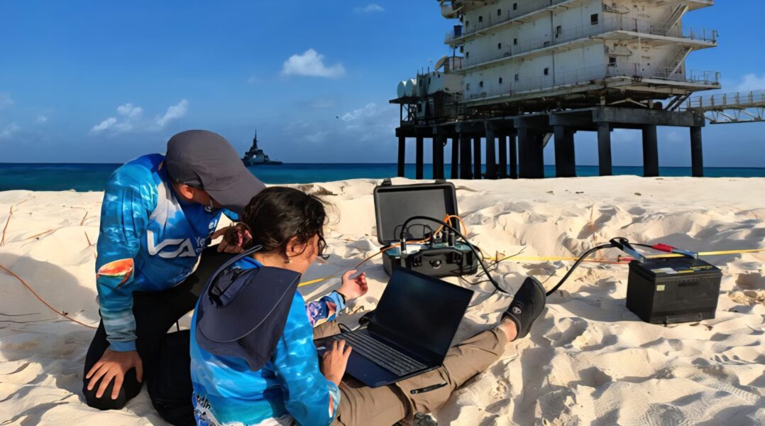 ¿Qué encontraron bajo tierra los científicos en Isla de Aves?