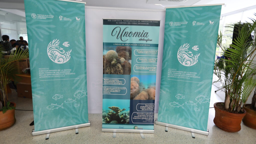 Venezuela en alerta por invasión de coral desconocido