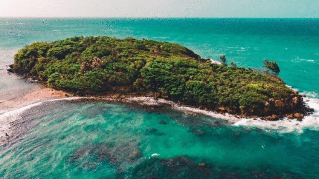 ¿Puede una IA gobernar mejor que los humanos? Nace primera ‘nación’ dirigida por inteligencia artificial