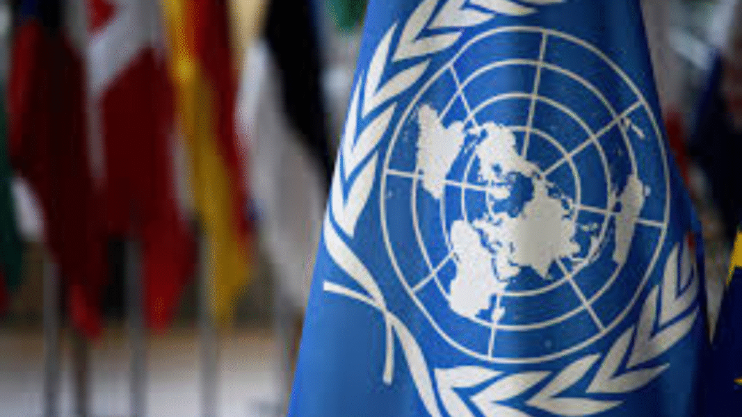 ONU Venezuela