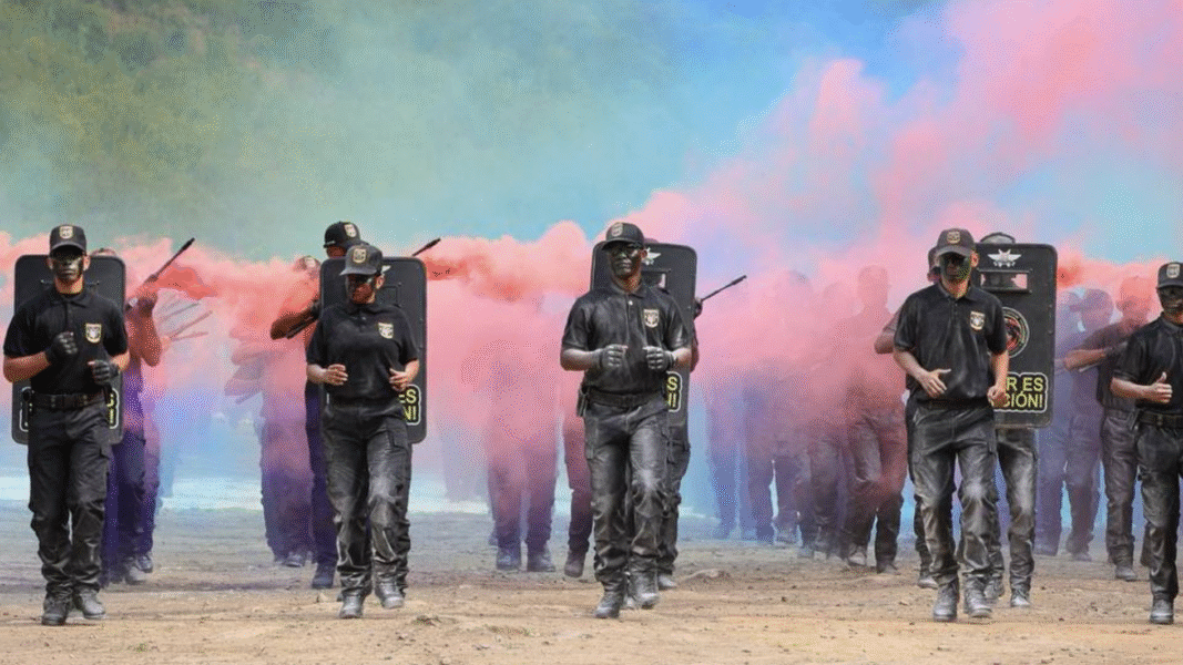 Defensa nacional: ¿Qué pasó con Operaciones Especiales de la FANB?