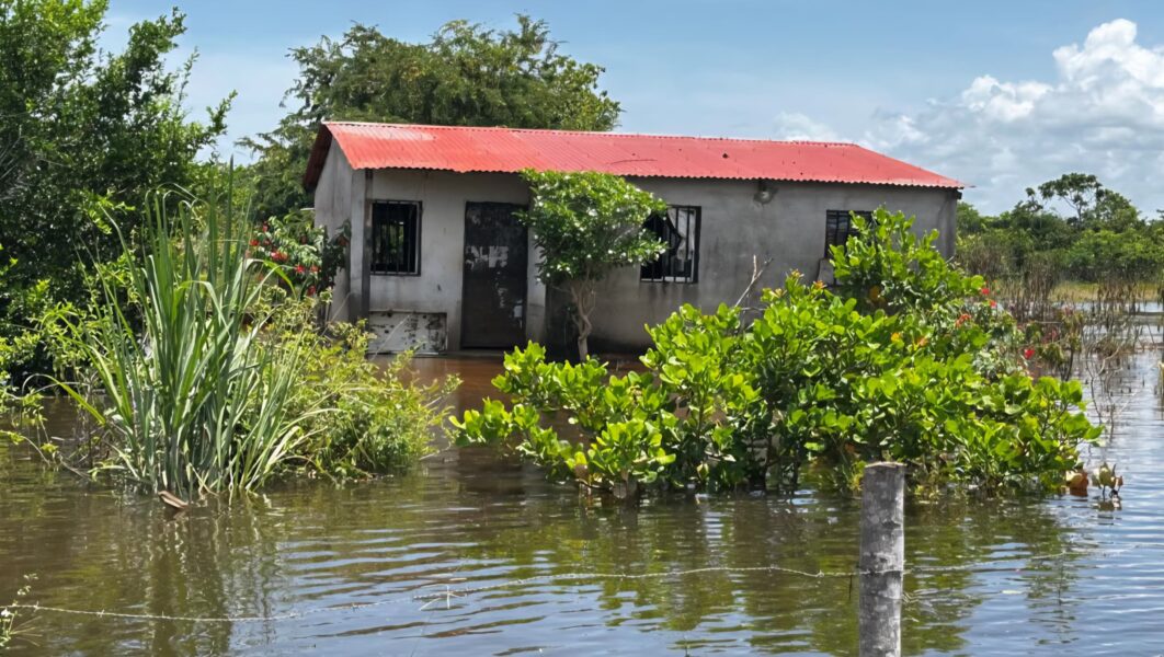 La creciente del Orinoco golpea sin tregua