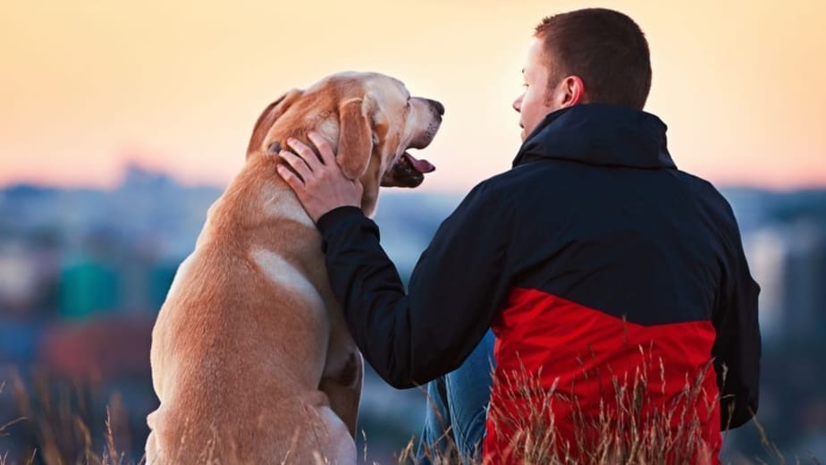 La ciencia lo confirma: Tu perro podría estar salvando tu salud mental