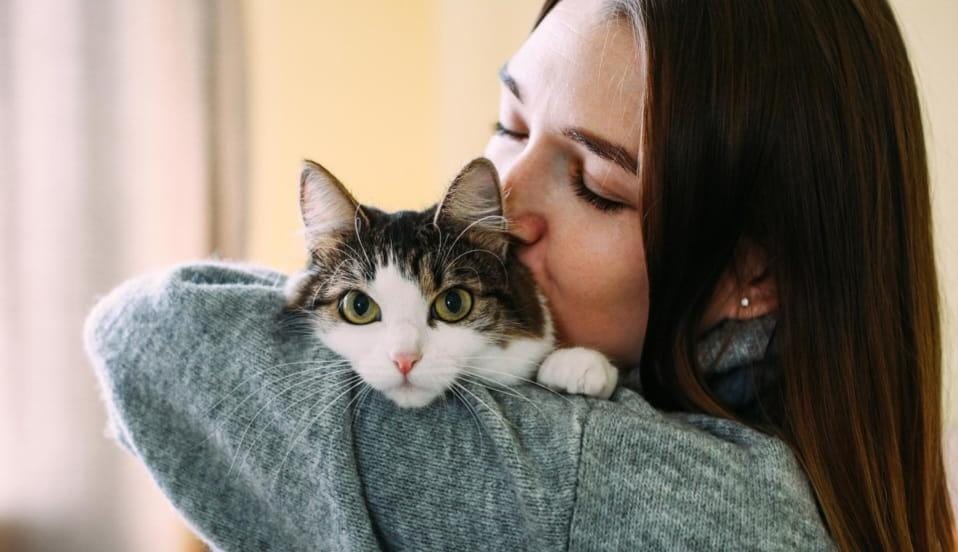 ¿Demencia felina? La investigación que podría transformar el estudio del Alzheimer