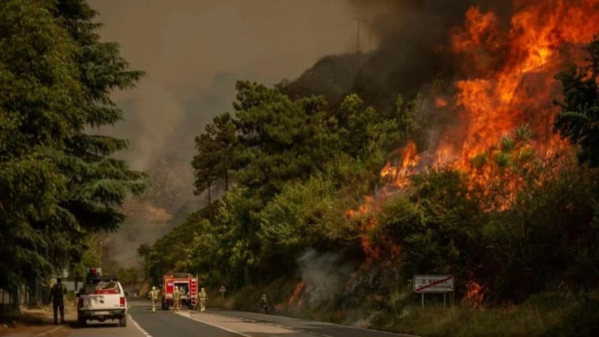 ¡España arde! Incendios dejan muerte y evacuaciones masivas