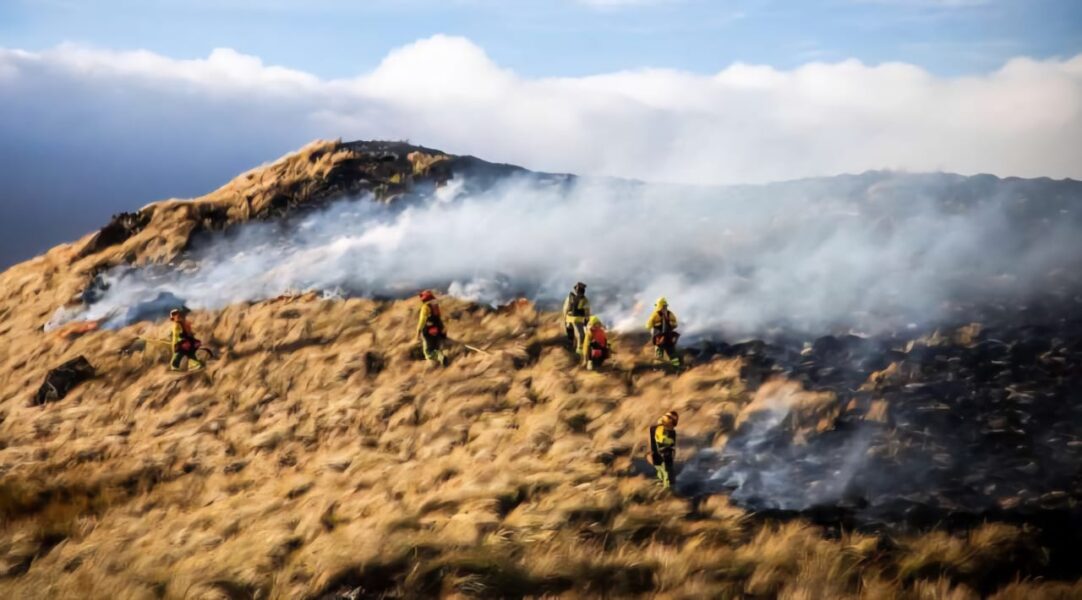 Ecuador en alerta: incendio indomable devora los páramos de Piñán