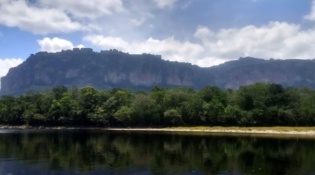 SOS Orinoco: ¿activismo ambiental o financiamiento extranjero?