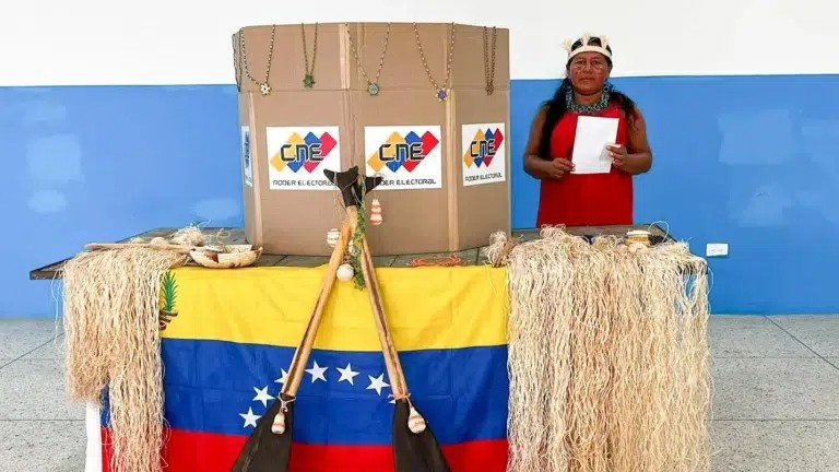 ¡Revelado! Esta es la lista de concejales indígenas electos