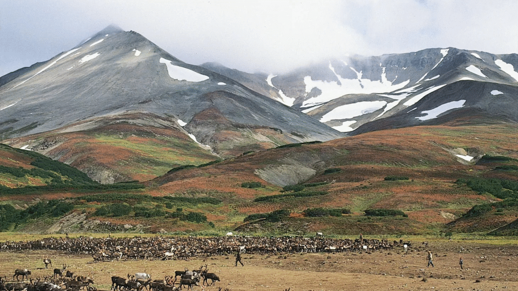 ¿Qué se sabe del desplazo de la península rusa Kamchatka?