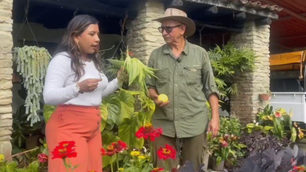 Descubre la tradición agrícola que impulsa a Galipán