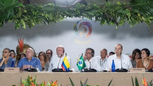 ¿Qué acordarán los líderes de la Amazonía en Bogotá?