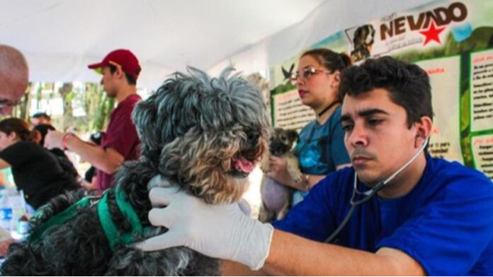 ¡Atención gratuita para tus mascotas en Barcelona!