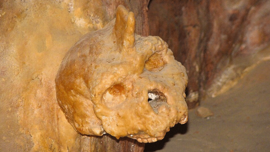 ¿Existió el hombre unicornio?