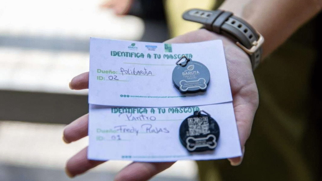 Conoce el registro gratuito para mascotas que lanzó la alcaldía de Baruta
