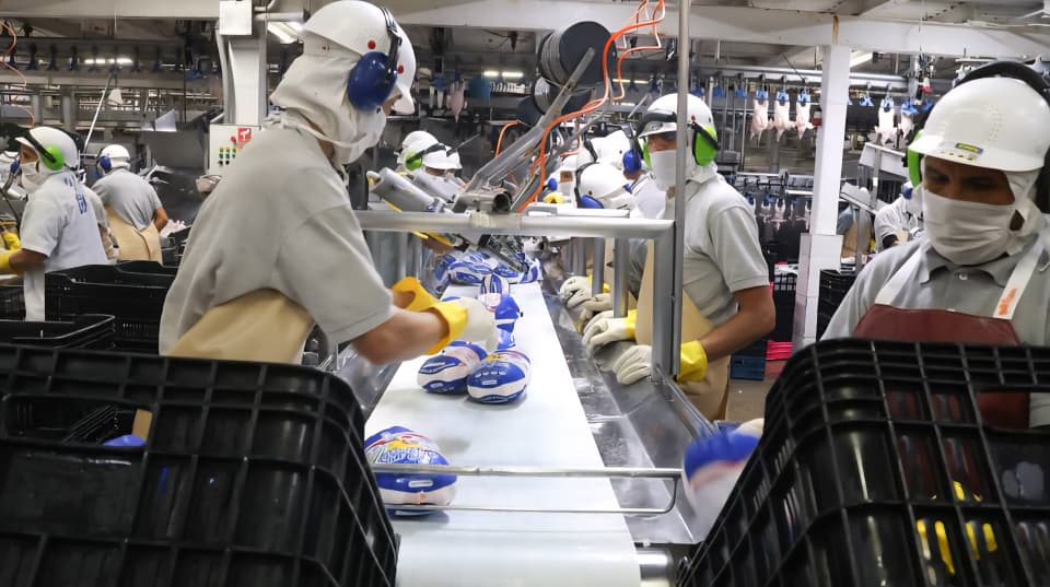 En Cifras | Logros en producción nacional de alimentos