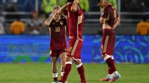 Vinotinto