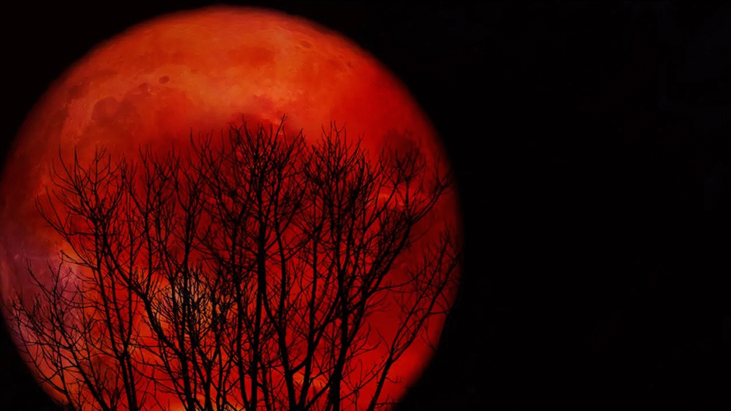 El eclipse rojo que no te puedes perder