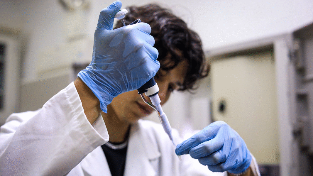 Llegaron los «Premios Nacionales de Ciencia 2025»