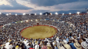 Feria Internacional de San Sebastián 2026