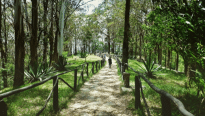paso peatonal Waraira Repano