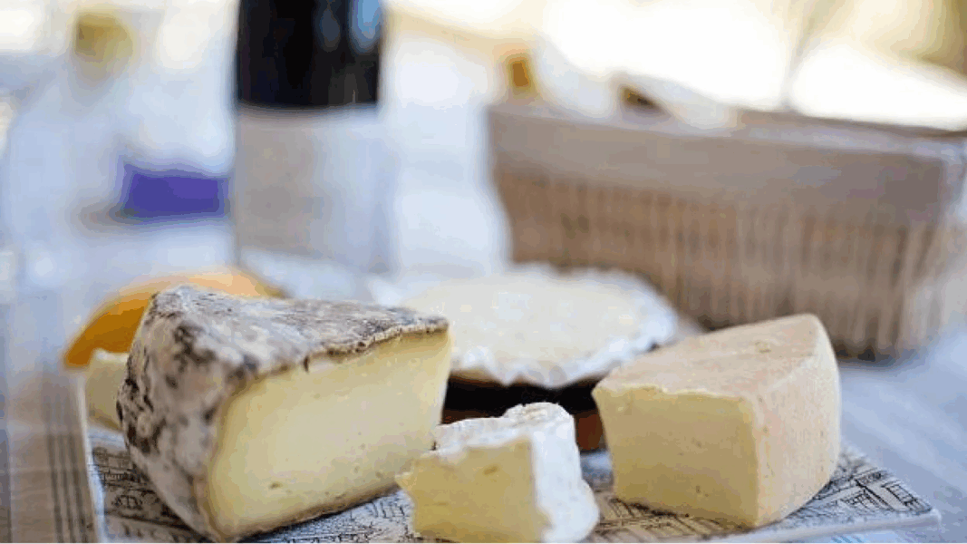 Estudio japonés revela sorprendente beneficio sobre el queso